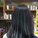 힐링헤어샾 - 서귀포시 | 힐링헤어샾