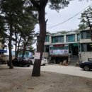 섭 | 양양 섭국 맛집, 오산횟집에서 섭장칼국수와 섭해물전 먹은 후기