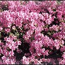 경기상업고등학교 이미지