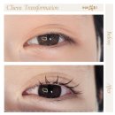 세인자연 이미지