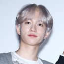 테오 이미지