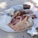 하늘돼지 이미지