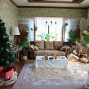 모모스튜디오 | 제주 스냅 모모스튜디오 커플스냅 촬영 추천 후기