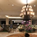 샹그릴라 이미지