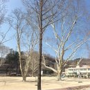 영천 선원동 철조여래좌상 이미지