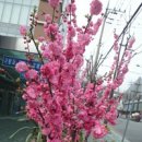 건지공원 이미지