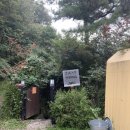 델루나 민박 이미지