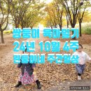 털보손세차장 이미지