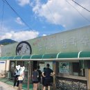 감자바우 이미지