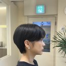 아브헤어 이미지
