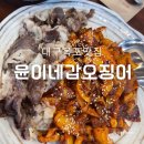 윤이네갑오징어