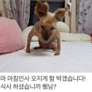 커피나인안산