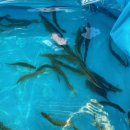 세아꿈어린이집 이미지