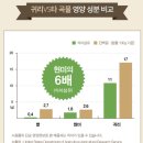 곡물 쉐이크(식물성 단백질 쉐이크)_ 휴닉 / 가루선생 / 구월의 아침 (내돈내산 후기)