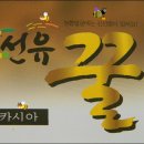 선유유통