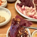 육회랑사시미랑 | 대구 중구 유쾌한 뭉티기 동성로 맛집 육회 차돌 사시미 찐 후기