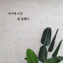 실내수영장 다녀왔어요~~ 이미지