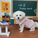 에이치에스평생교육원