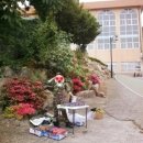 대덕여자고등학교 이미지