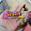 리틀짐태권도장 | 21, 3월의 둘째 주 기록