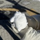 신사2-047 | 겨울 삿포로 3박4일 여행 (스노우치즈 오픈런, 오타루 당일치기, 르타오, 증기시계탑, 오르골당, 미스터...