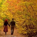 금보농장 이미지