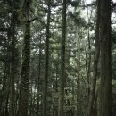 장흥숲길캠핑장 이미지