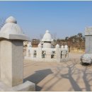 수원-1753 이미지