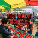 예)연무체육공원 체육관 | 2026 대저 토마토 축제 후기와 주차팁