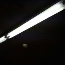 연신내복싱클럽 이미지