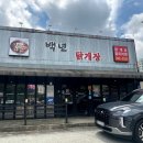 백년닭개장