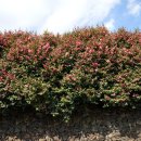 위미2리 마을회관 이미지