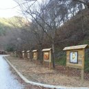 청송자연휴양림 이미지