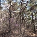 덕봉쉼터 이미지