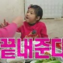 담양愛꽃 이미지