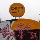 섬진강 찔레꽃 언덕 이미지