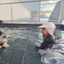 동강시스타 | 강원도 영월 숙소 탑스텐리조트 동강시스타 수영장 이용후기