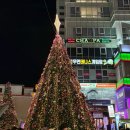 NR-7[중앙대로]-상-277 | [부산 해운대] 가성비 끝판왕! 뚜벅이의 1박 2일 부산 여행