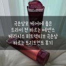 네츄럴트리트 | 극손상모 케어에 좋은 드라이 전 바르는 에센스 케라시스 히트액티브 극손상 바르는 트리트먼트 후기