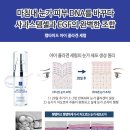 세기스템셀 이미지