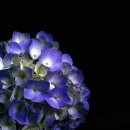 축복의집 이미지