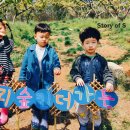 누리숲킨더가든어린이집 이미지