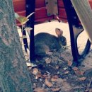 대천(서울) 이미지