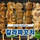 갈라파꼬치