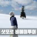 드라마힐즈주 | 삿포로 겨울 여행 비에이투어 내돈내산 후기 가격 업체