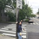 에쇼파모마 | 갓어요 2탄🇺🇸]소호/글로시에/온러닝/노아/스투시/모마/버드랜드/스타더스트/나이아가라 버팔로/라이온킹...