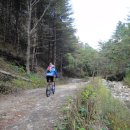 도사곡길 이미지