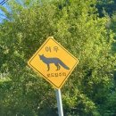 우금자락 이미지