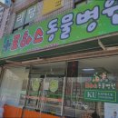 로하스 동물병원 | 일산동물병원 로하스동물병원 30년 경력 동물병원