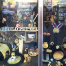 갤럭시펫 애견미용 이미지